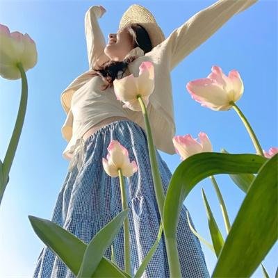 杂家高手